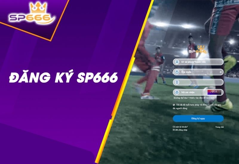 Hướng dẫn để SP666 tặng 100k chi tiết