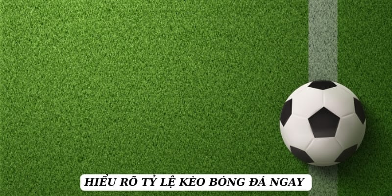 ty-le-keo-hieu-ro-khai-niem (1)