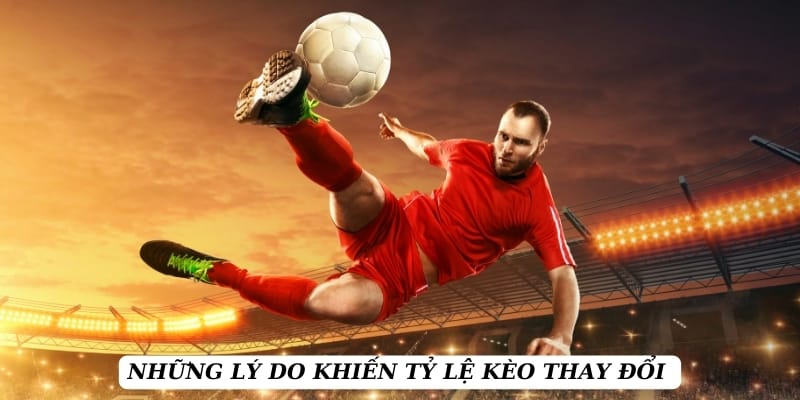 ty-le-keo-ly-do-keo-doi
